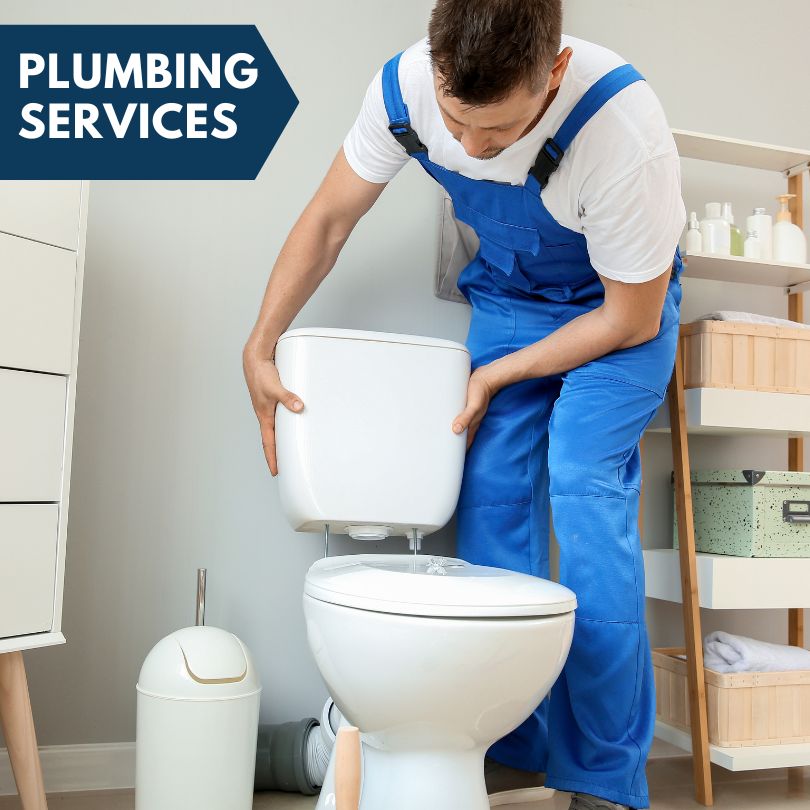 Plumbing Company in Sodus, MI